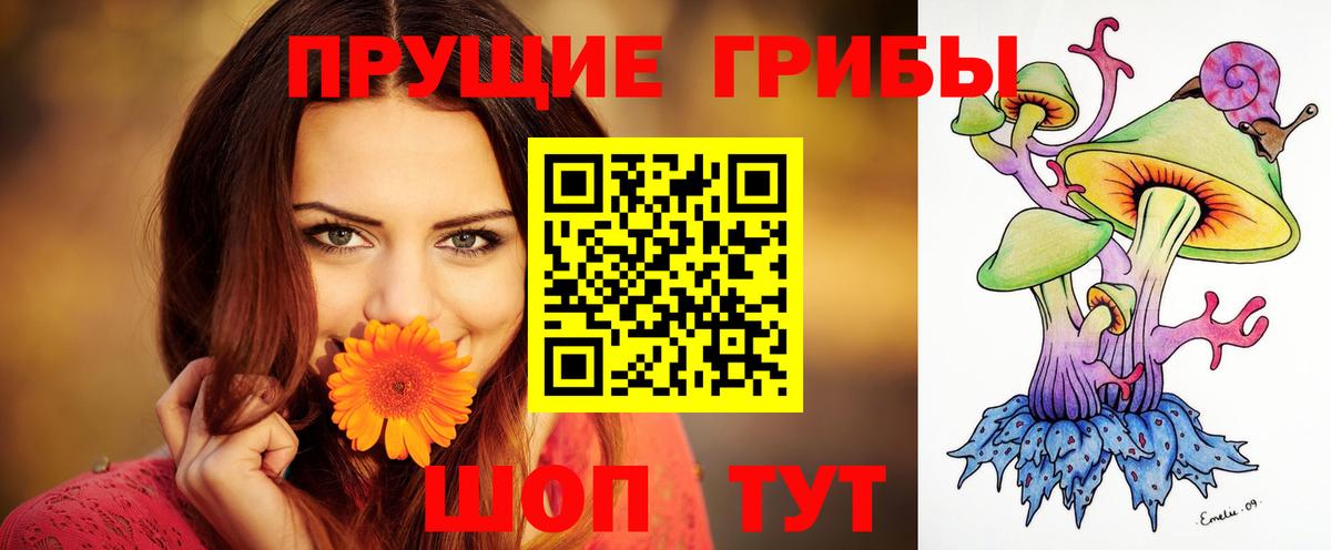 Псилоцибиновые грибы Cubensis Стрежевой
