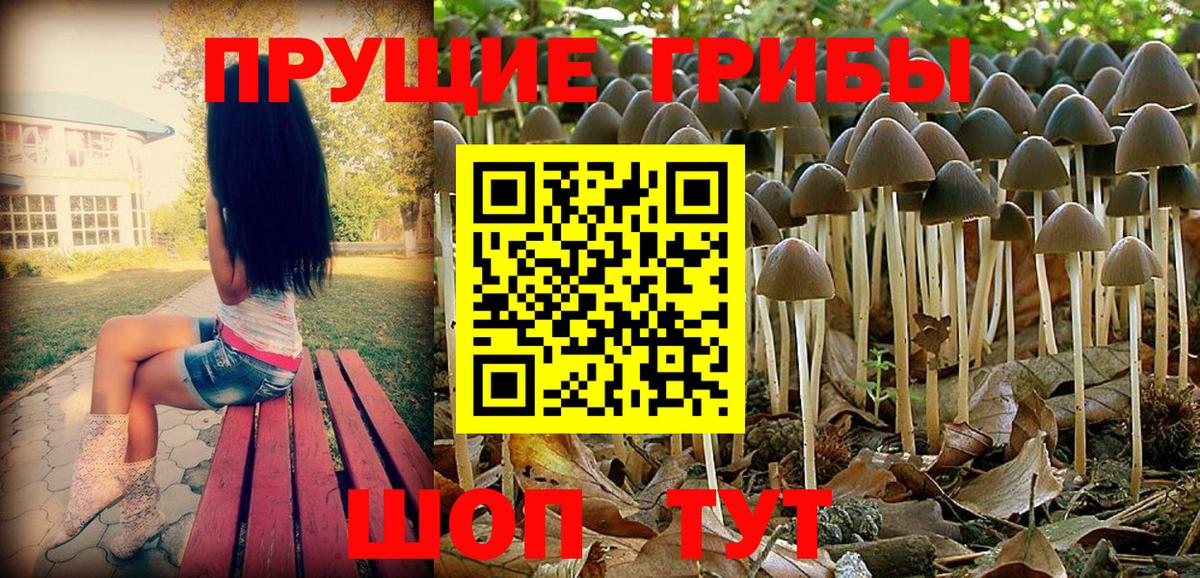Стрежевой  Галлюциногенные грибы MAGIC MUSHROOMS  Вход с VPN 